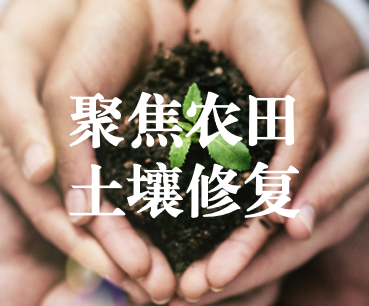 聚焦農田土壤修復，保障糧食產品安全 ——踔厲奮發(fā)、篤行不怠，以奮斗之姿獻禮黨的二十大