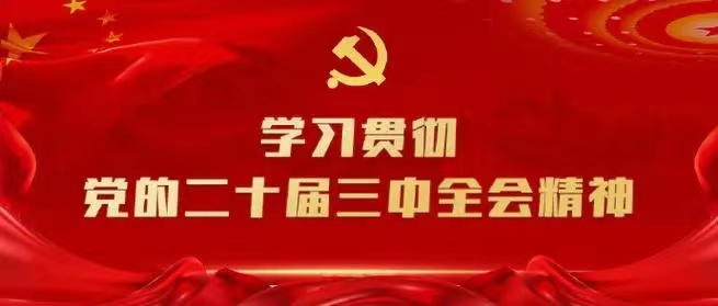 學習會議精神，貫徹落實工作 --川勘天晟源公司黨支部召開主題黨員大會